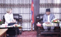 स्वास्थ्यमन्त्री गिरीसँग बेलायतका राजदूतको शिष्टाचार भेटवार्ता