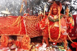 पाथीभरामा एक महिनामा ६९ लाख भेटी सङ्कलन