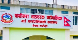 प्राविधिक जनशक्ति उत्पादन गर्न  पाथीभरा याङवरक गाउँपालिकाद्वारा छात्रवृत्ति