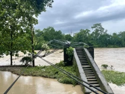  नारायणी नदीको बाढीले झोलुङ्गे पुल बगायो