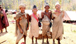 राउटे समुदायको व्यवस्थापन गर्न माग