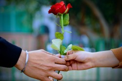 आज प्रणय दिवस 'भ्यालेन्टाइन्स डे', प्रेम साटासाट गरी मनाइँदै