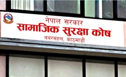 सामाजिक सुरक्षा कोषमा ९४ अर्ब जम्मा