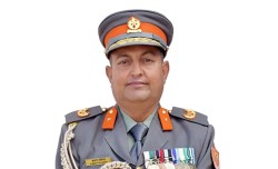 सशस्त्रको प्रवक्तामा न्यौपाने