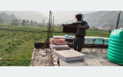 रामेछापमा व्यावसायिक माहुरीपालन फस्टाउँदै