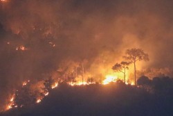 डढेलोमा परी युवतीको मृत्यु, चार घाइते