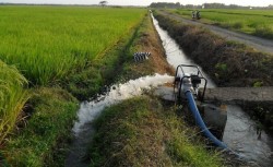 सिँचाइ कार्यालयको सात कट्ठा जग्गा अतिक्रमण