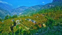  सडक बनाउन पर्वतको बाँसखर्कमा सुन्तला महोत्सव आयोजना