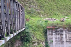 ९ वर्षदेखि तामाकोशी पुल अलपत्र