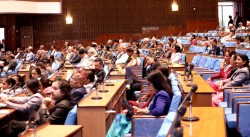 प्राकृतिक विपत्तिमा परेकाको खोज, उद्धार शीघ्र गर्न सांसदको आग्रह