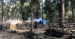 हजारौँ हेक्टर जग्गा अतिक्रमणको चपेटामा