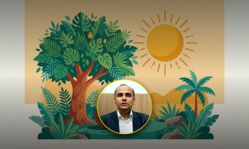 तराईमा ‘लू’को जोखिम, कसरी बच्ने ?