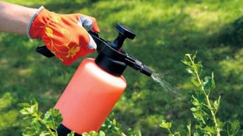 विषादीको प्रयोगले मानव स्वास्थ्यमा असर