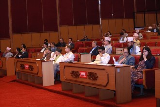 डेङ्गी नियन्त्रणका लागि पहल गर्न संसद्मार्फत सरकारको ध्यानाकर्षण