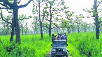 असार १५ देखि चितवन राष्ट्रिय निकुञ्जमा जिप सफारी बन्द हुने