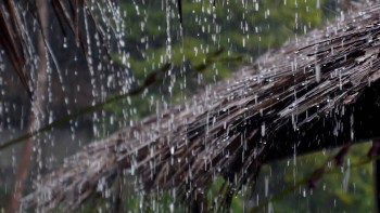 देशका अधिकांश क्षेत्रमा वर्षा, मेघगर्जन र हिमपातको सम्भावना