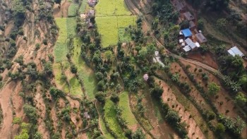 व्यावसायिक फलफूलखेतीतर्फ भुल्केका किसानको आकर्षण