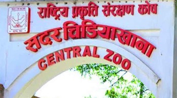  चिडियाखानालाई तीन वर्गमा वर्गीकरण गरिने