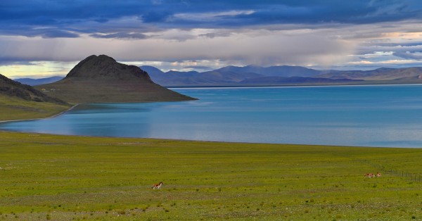 झारी  ताल तिब्बत चीन