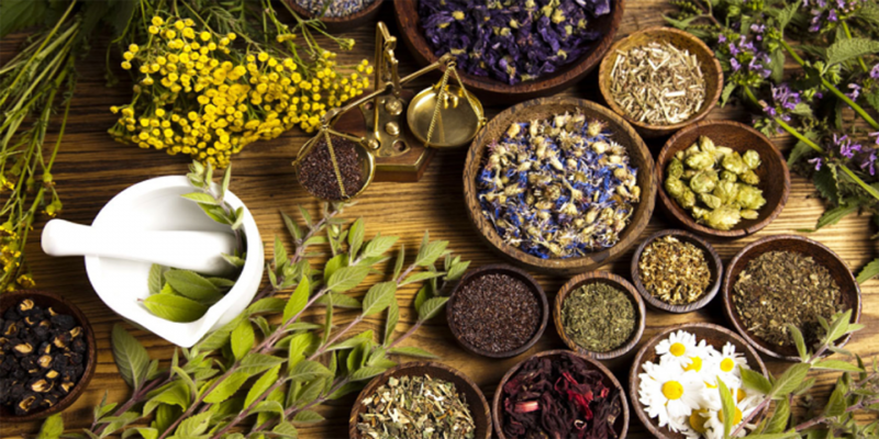 जडीबुटी प्रशोधन केन्द्र अलपत्र