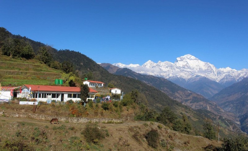  पर्यटकीयस्थल टोड्के जोड्ने सडक धमाधम स्तरोन्नति हुँदै