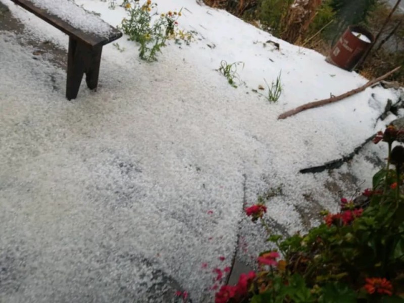 रामेछापको  उच्च पहाडी क्षेत्रमा हिमपात र असिनापानी,खाद्यान्न र तरकारी  बाली नष्ट, किसानहरू चिन्तित