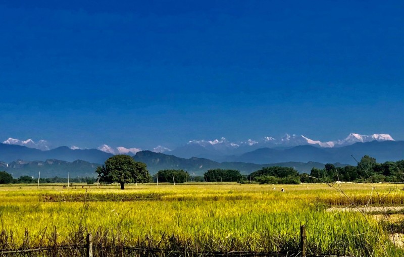 केन्द्रीय बैंकको विवरण  तराईमा बढ्यो महँगी