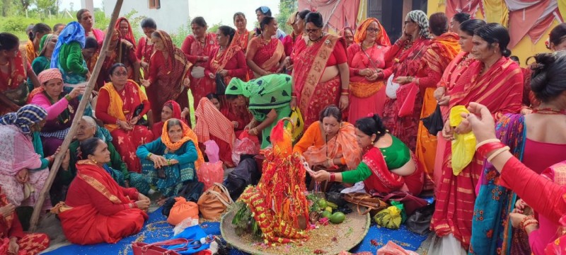 सुदूरपश्चिममा गौरापर्वः आज मुख्य दिन अठ्यावाली