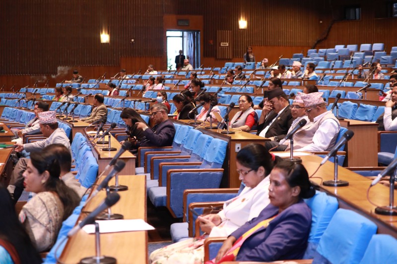प्रतिनिधिसभामा सूचना प्रविधि र औद्योगिक सम्पत्तिसम्बन्धी दुई विधेयक पेस