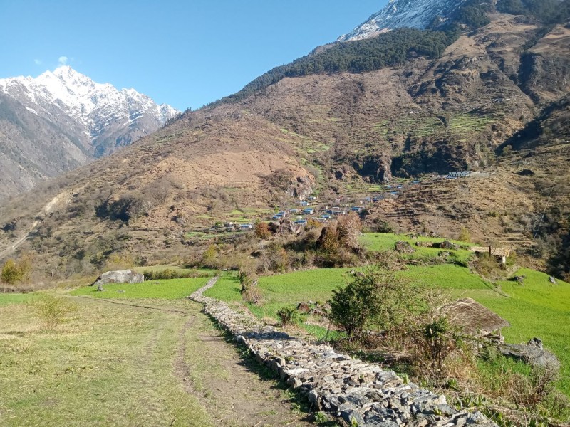 साइपालमा  खाद्य सङ्कट, सिंहदरबार नधाएर पुग्दैन चामल