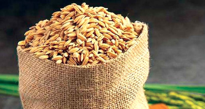 ‘धान बालीमा सघनता : खाद्य सुरक्षा र आत्मनिर्भरता’ भन्ने नाराका साथ धानको उत्पादन वृद्धि गरिँदै