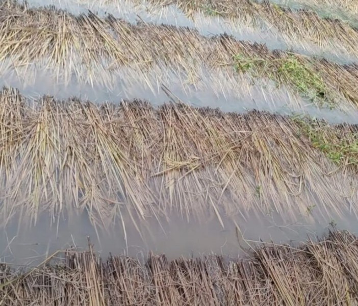 बेमौसमी वर्षाः दुई अर्बभन्दा बढीको क्षति