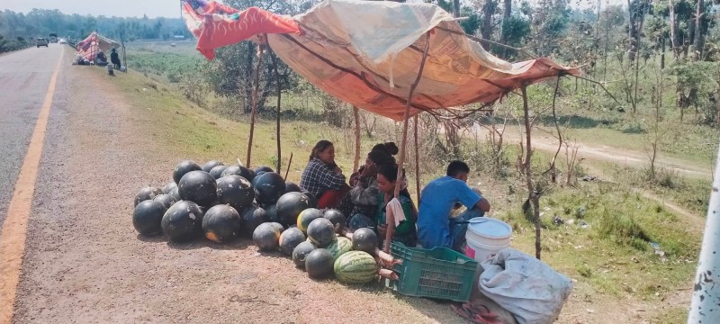 तरभुजा बिक्रीबाट जीविकोपर्जन गर्दै वाणीवासी  