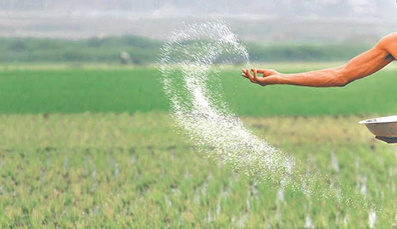 रासायनिक मलले प्रयोगले माटोको गुणस्तर घट्दै