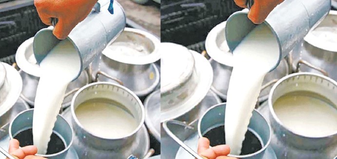 कोशीमा दुग्धजन्य पदार्थको बिक्री बढ्न थाल्यो, व्यवसायी उत्साहित