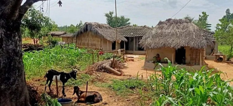 ‘व्यवस्था परिवर्तन भयो, अवस्था परिवर्तन भएन मुसहर बस्तीमा’