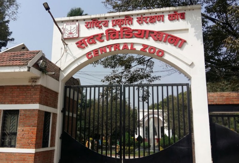 चिडियाखानामा सन्ध्याकालीन सेवा सुरु भएपछि पर्यटकको संख्या वृद्धि