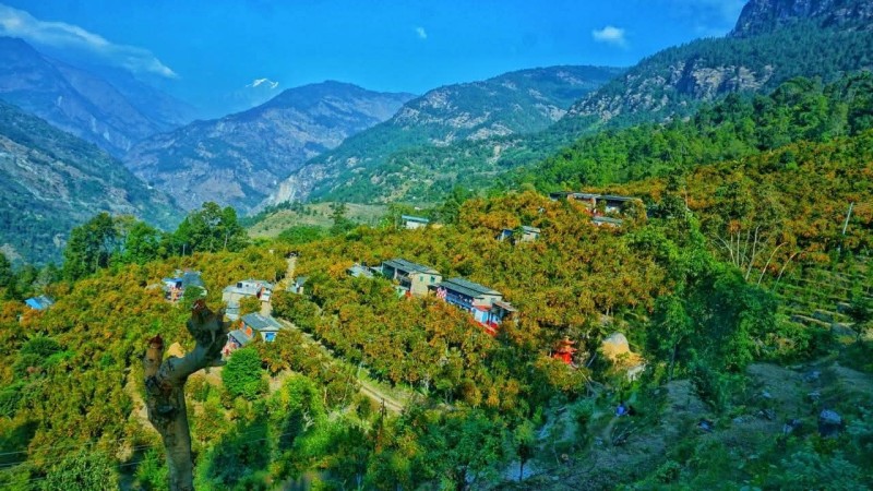  सडक बनाउन पर्वतको बाँसखर्कमा सुन्तला महोत्सव आयोजना